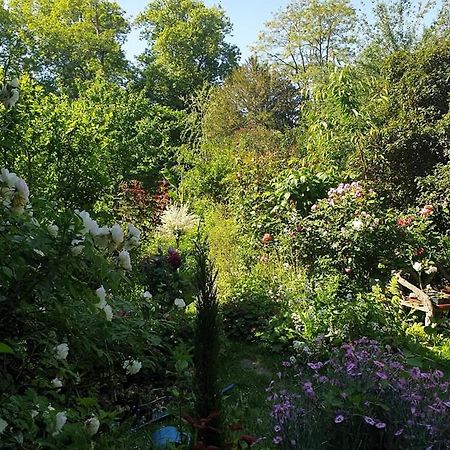 La Petite Maison Du Jardin D'Apollon Dourdan Dış mekan fotoğraf